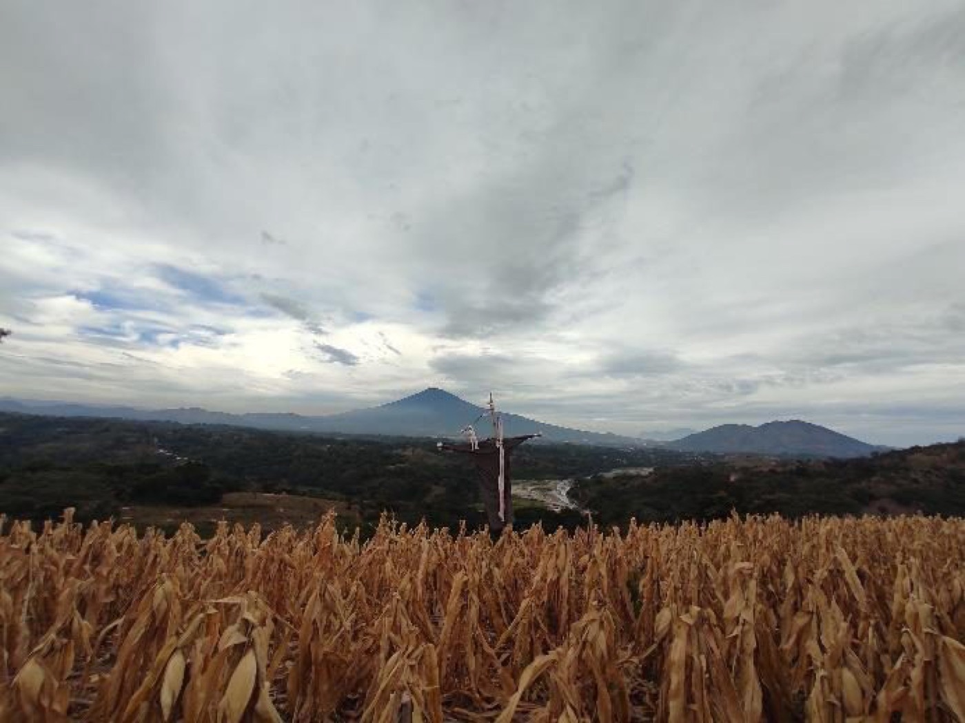 Terreno de 4.5 hectáreas en Tonacatepeque — foto 2