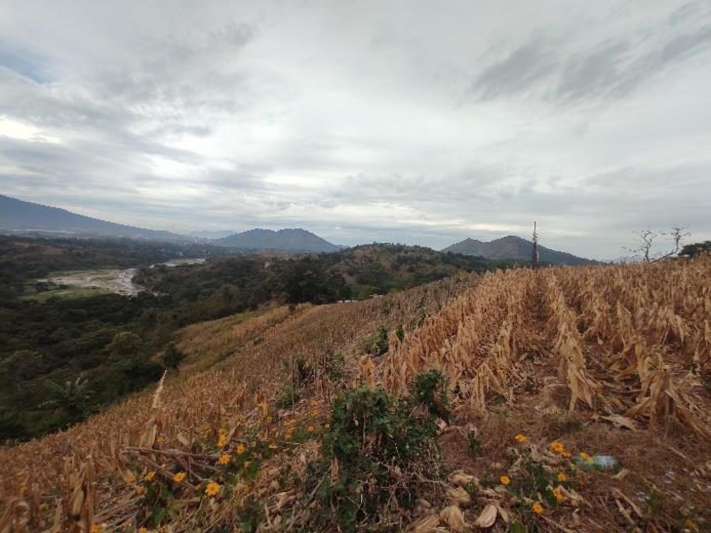 Terreno de 4.5 hectáreas en Tonacatepeque — foto 4