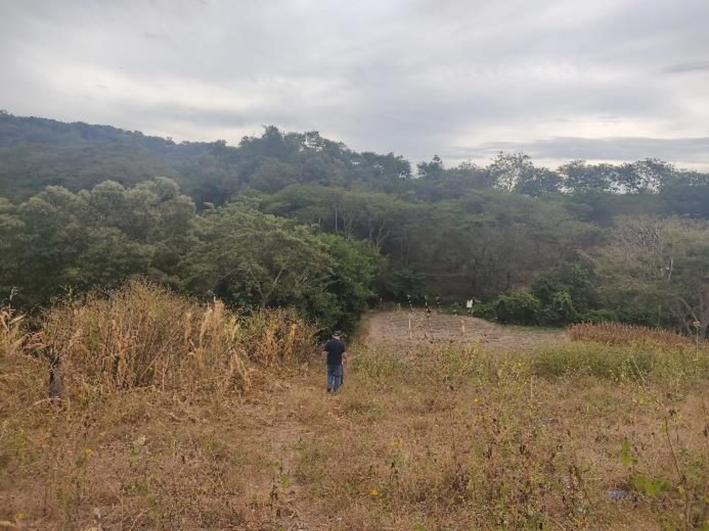 Terreno de 4.5 hectáreas en Tonacatepeque — foto 5